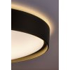 SMART WIFI Černé stropní LED svítidlo Achilles 500mm 40W RGB+CCT s DO