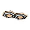 Černé stropní LED svítidlo Bitsi 250x410mm 44W
