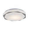 Šedé stropní LED svítidlo Dettora 370mm 18W CCT s DO