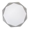 Šedé stropní LED svítidlo Dettora 370mm 18W CCT s DO