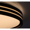Černé stropní LED svítidlo Epora 390mm 25W