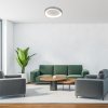 Stříbrné stropní LED svítidlo Iliana 520mm 56W