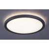 Stříbrné stropní LED svítidlo Lambert kulaté 280mm 15W IP44