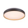 Černo-zlaté stropní LED svítidlo Gandor 390mm 24W CCT s DO