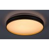 Černo-zlaté stropní LED svítidlo Gandor 390mm 24W CCT s DO