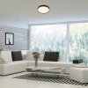 Černé stropní LED svítidlo Nessira 390mm 25W