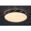 Černé stropní LED svítidlo Nessira 390mm 25W