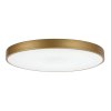 Zlaté stropní LED svítidlo Tesia 600mm 60W CCT s DO