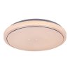 Bílé stropní LED svítidlo Trevor2 290mm 12W