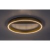 Černo-zlaté stropní LED svítidlo Thric 400mm 20W