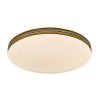 Bílé stropní LED svítidlo Oscar2 Star s dekorem dřeva kulaté 340mm 18W