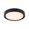 Černé stropní LED svítidlo Foster 360mm 28W RGB+CCT s pohybovým čidlem a DO