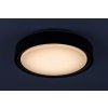Černé stropní LED svítidlo Foster 360mm 28W RGB+CCT s pohybovým čidlem a DO
