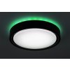 Černé stropní LED svítidlo Foster 360mm 28W RGB+CCT s pohybovým čidlem a DO
