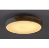 Bílé stropní LED svítidlo Maple s dekorem dřeva 415mm 24W