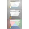 Chromové stropní LED svítidlo Wolimir 290x290mm 22W RGB+CCT s DO
