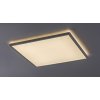 Bílé stropní LED svítidlo Pavel hranaté 420x420mm 22W