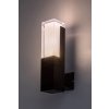 Černé fasádní LED svítidlo Darvas 7W IP54 CCT
