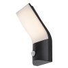 Černé fasádní LED svítidlo s pohybovým čidlem Tolna 10W IP54