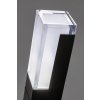 Černý zahradní LED sloupek Darvas 7W IP54 60cm CCT