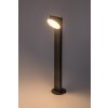 Černý zahradní LED sloupek Wengen 12W IP54 70cm