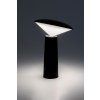Černá LED zahradní nabíjecí lampa Polperro 3W