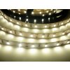 LED pásek 12W/m s krytím (Barva světla Studená bílá)