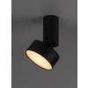 Černé stropní LED svítidlo Ovidia 110mm 10W polohovatelné