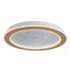 Zlaté stropní LED svítidlo Efrael 400mm 24W CCT s DO