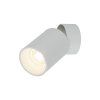 5373 TOP DOWNLIGHT WHITE O