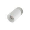 5373 TOP DOWNLIGHT WHITE L2