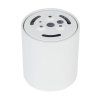 18157 BLAZE WHITE CCT 12W G