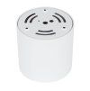 18161 BLAZE WHITE CCT 30W G