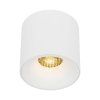 18161 BLAZE WHITE CCT 30W O