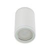 10584 FLARE WHITE P