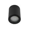 10933 LIGNO BLACK P