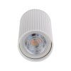 10023 TUNE WHITE L