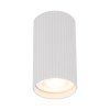 10023 TUNE WHITE O