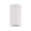 10023 TUNE WHITE P