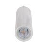 10025 TUNE WHITE L