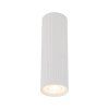 10025 TUNE WHITE O