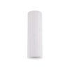 10025 TUNE WHITE P