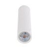 10027 TUNE WHITE L
