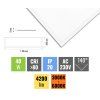 LED GPL44 B 40 BI CCT 2