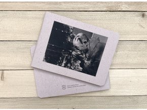 Sešit A5 - ART Jindřich Štreit - VODA A BUDHA
