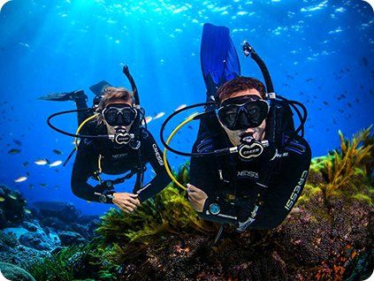 Kurz OPEN WATER DIVER / JUNIOR OPEN WATER DIVER