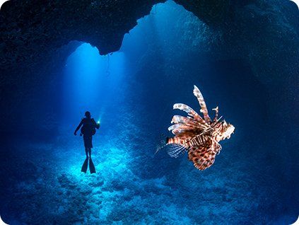 POTÁPAČSKÝ KURZ NIGHT DIVER