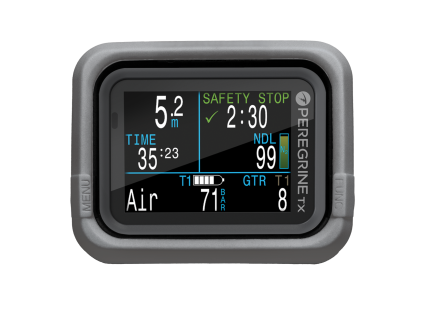 Silicone Peregrine Grey