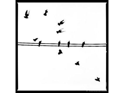 varsava i 2007 bican tomas