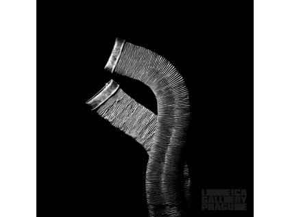 milenci jiroutek jiri